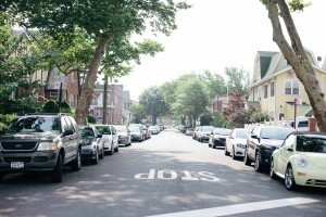 Bay Ridge Brooklyn Bekka Palmer