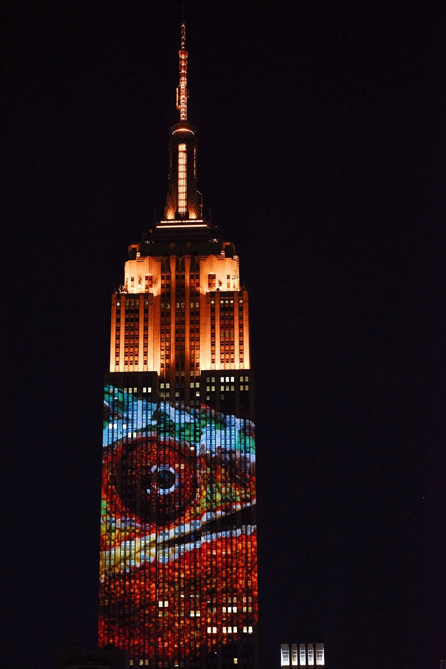 empire-state-projection-endangered-animals-nyc-32