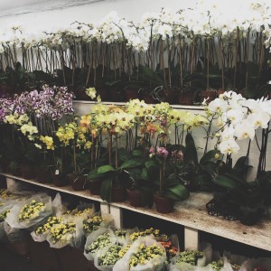 flower district new york midtown