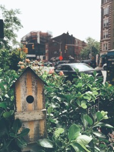 bird houses west village new york city