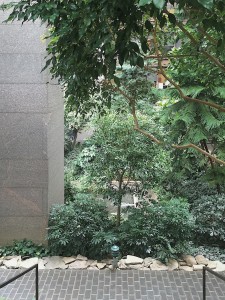 ford foundation atrium