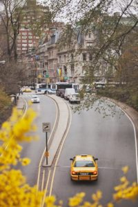 yellow taxi niece